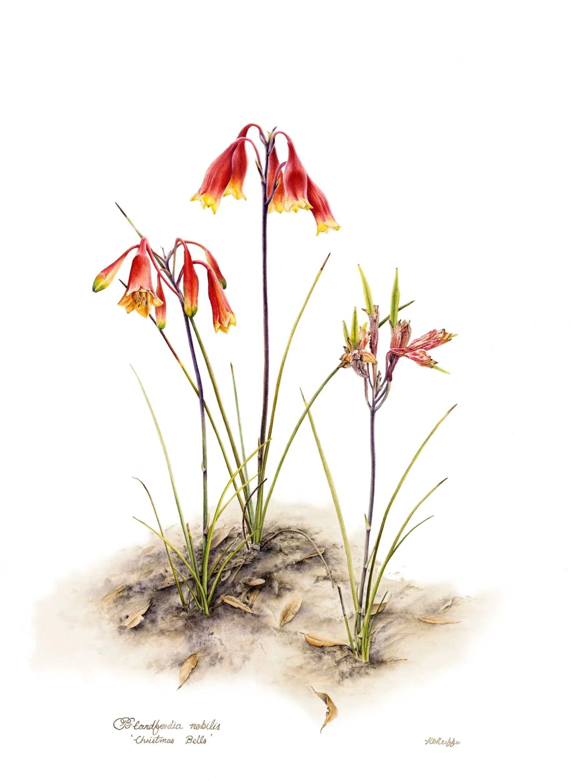 Archive — Kristen O'Keeffe